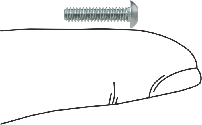 Düğme Başlı Torx Vidaları, Çinko Kaplı Çelik, 4-40 Diş, 1/2" Uzunluk