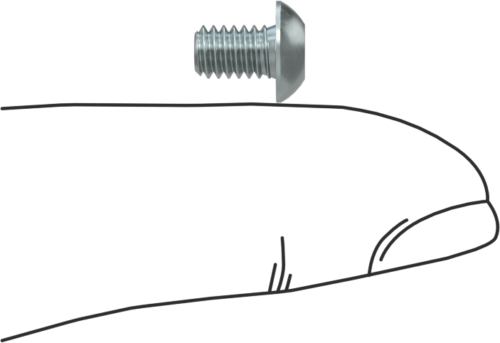 Düğme Başlı Torx Vidaları, Çinko Kaplı Çelik, 8-32 Diş, 1/4" Uzunluk