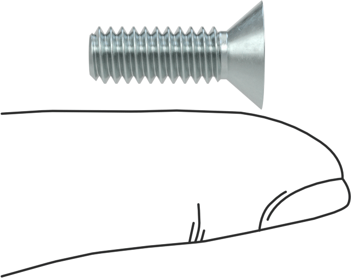Çinko Kaplı Çelik Torx Düz Başlı Vidalar, 1/4"-20 Diş Boyutu, 3/4" Uzunluk