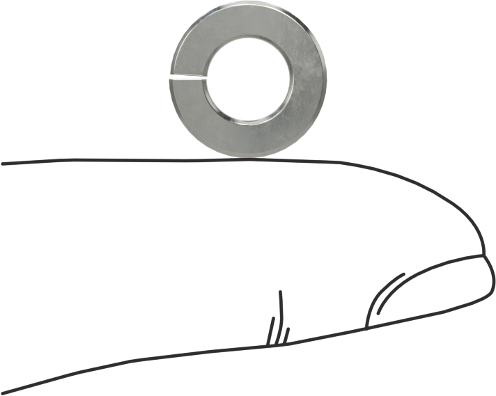 18-8 Paslanmaz Çelik Yaylı Pul, 1/4" Vida Boyutu için, 0.26" ID, 0.489" OD