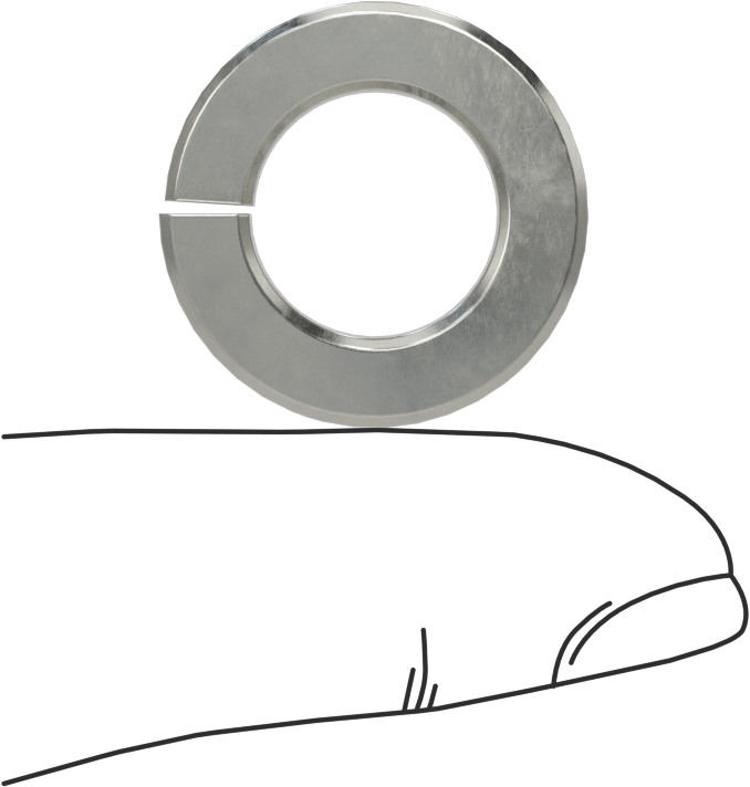 18-8 Paslanmaz Çelik Yaylı Pul, 1/2" Vida Boyutu için, 0.512" ID, 0.879" OD
