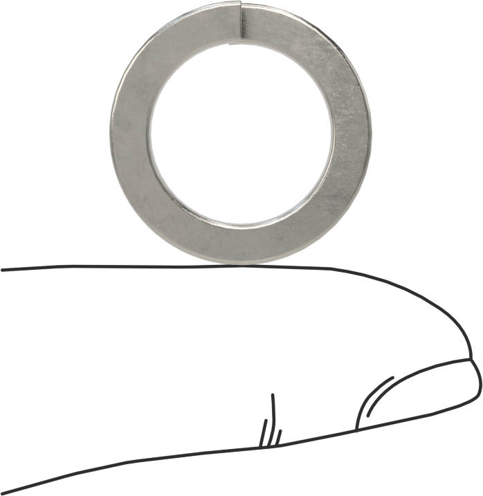 18-8 Paslanmaz Çelik Yaylı Pul, M14 Lokma Başlı Vidalar için, 14.7 mm ID, 21.1 mm OD