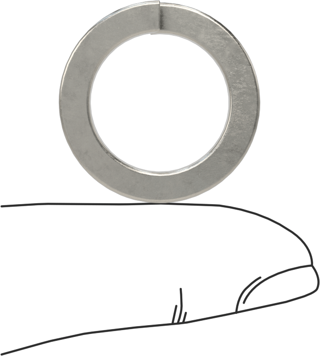 18-8 Paslanmaz Çelik Yaylı Pul, M16 Lokma Başlı Vidalar için, 17 mm ID, 24.4 mm OD