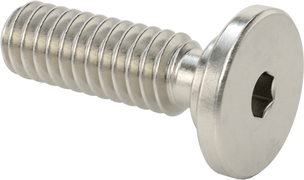 316 Paslanmaz Çelik Ultra Düşük Profilli Soket Başlı Vida, 1/4"-20 Diş Boyutu, 3/4" Uzunluk