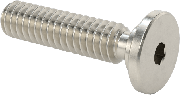 316 Paslanmaz Çelik Ultra Düşük Profilli Soket Başlı Vida, 1/4"-20 Diş Boyutu, 1" Uzunluk