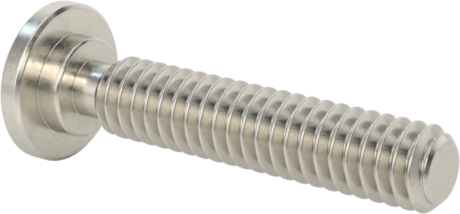 316 Paslanmaz Çelik Ultra Düşük Profilli Soket Başlı Vida, 1/4"-20 Diş Boyutu, 1-1/4" Uzunluk