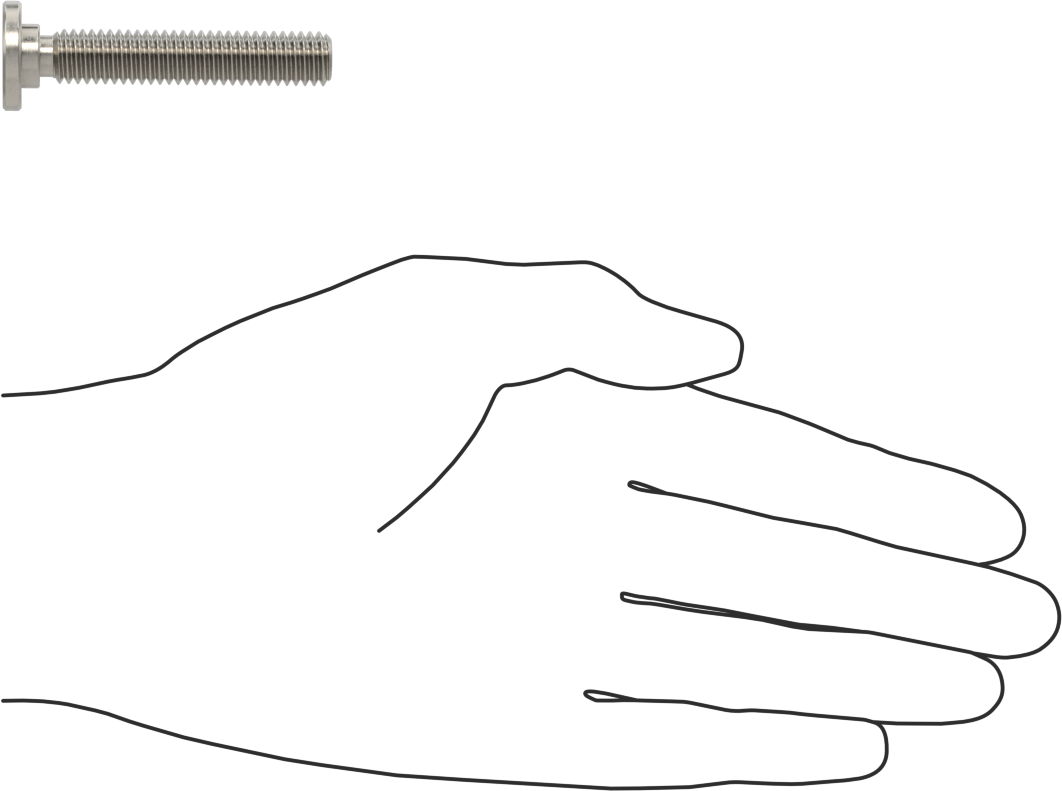 316 Paslanmaz Çelik Ultra Düşük Profilli Soket Başlı Vida, 3/8"-16 Diş Boyutu, 2" Uzunluk