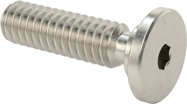 316 Paslanmaz Çelik Ultra Düşük Profilli Soket Başlı Vida, 1/4"-20 Diş Boyutu, 7/8" Uzunluk