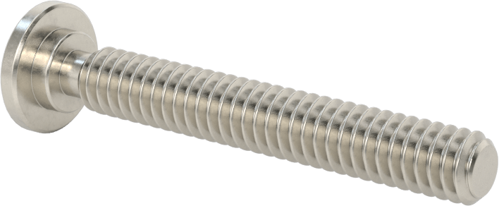 316 Paslanmaz Çelik Ultra Düşük Profilli Soket Başlı Vida, 1/4"-20 Diş Boyutu, 1-3/4" Uzunluk