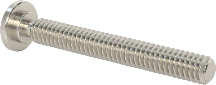 316 Paslanmaz Çelik Ultra Düşük Profilli Soket Başlı Vida, 1/4"-20 Diş Boyutu, 2" Uzunluk