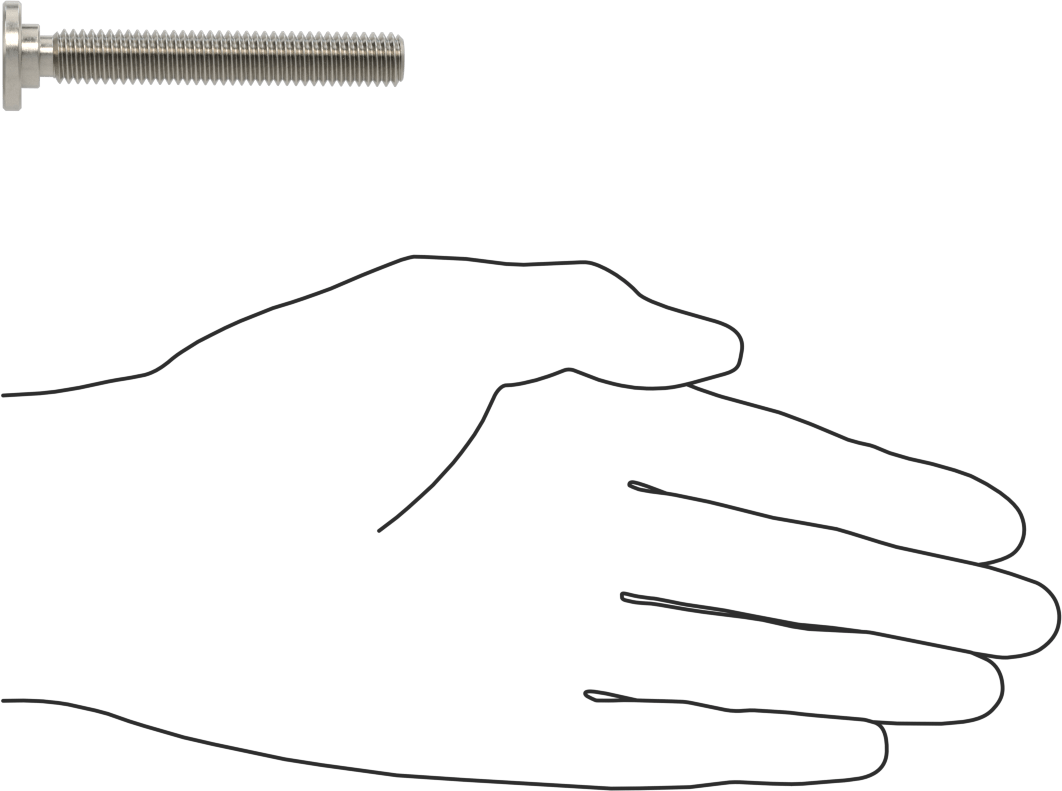 316 Paslanmaz Çelik Ultra Düşük Profilli Soket Başlı Vida, 3/8"-16 Diş Boyutu, 2-1/2" Uzunluk