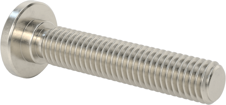 316 Paslanmaz Çelik Ultra Düşük Profilli Soket Başlı Vida, 1/2"-13 Diş Boyutu, 2-1/2" Uzunluk