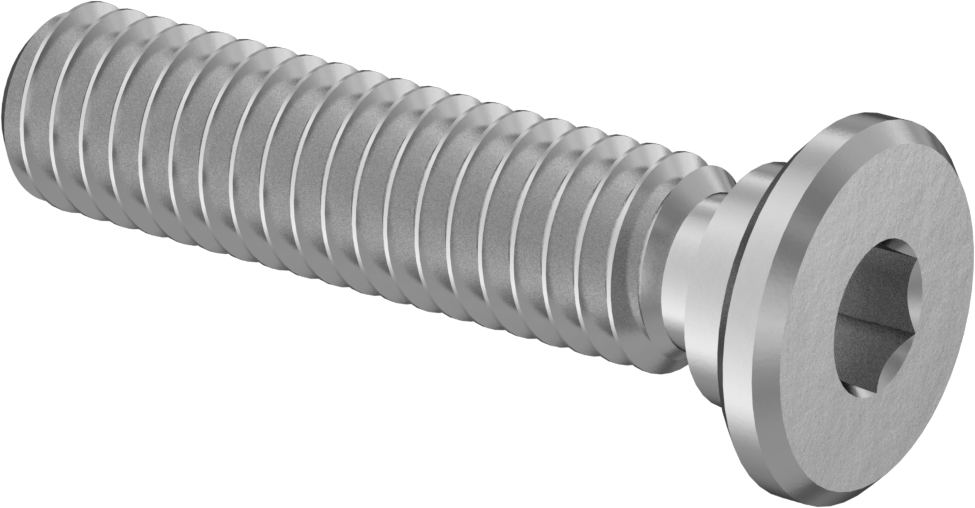 316 Paslanmaz Çelik Ultra Düşük Profilli Soket Başlı Vida, M4 x 0,70 mm Diş, 16 mm Uzunluk