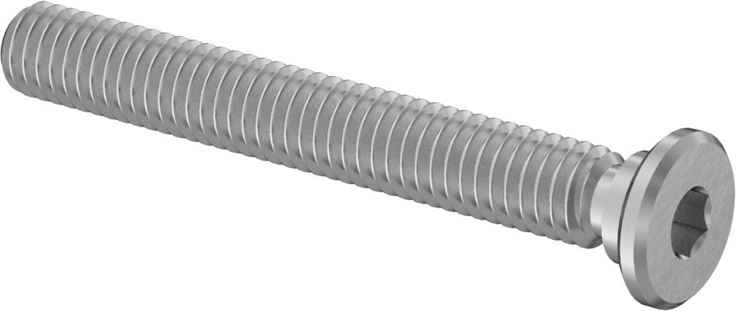 316 Paslanmaz Çelik Ultra Düşük Profilli Soket Başlı Vida, M4 x 0,70 mm Diş, 30 mm Uzunluk