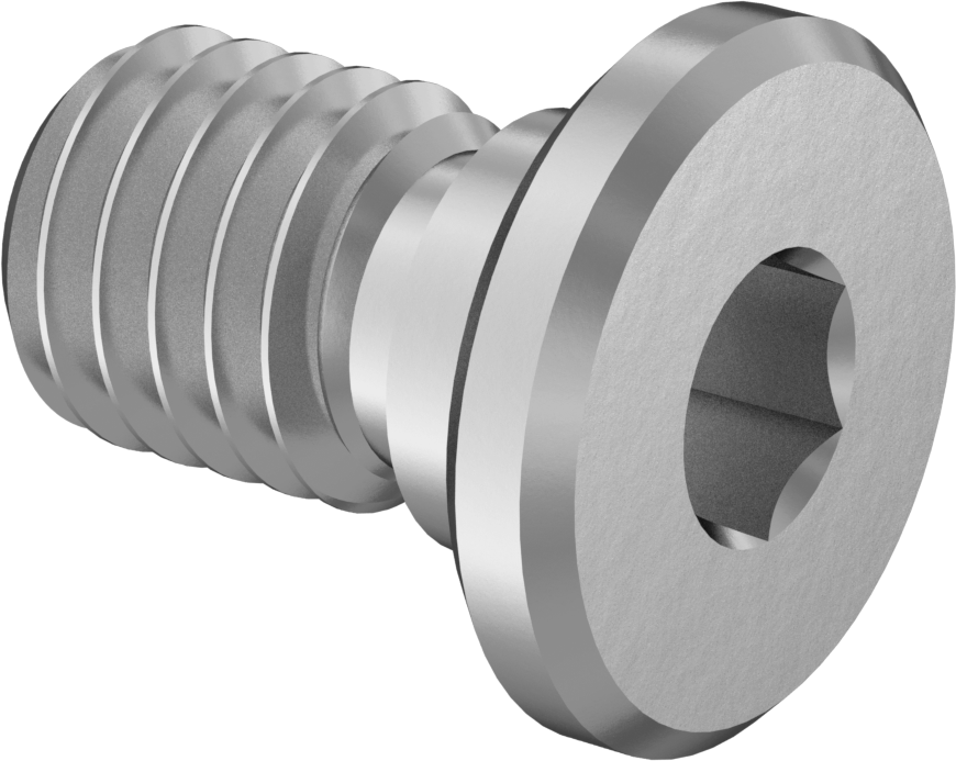 316 Paslanmaz Çelik Ultra Düşük Profilli Soket Başlı Vida, M5 x 0,80 mm Diş, 6 mm Uzunluk