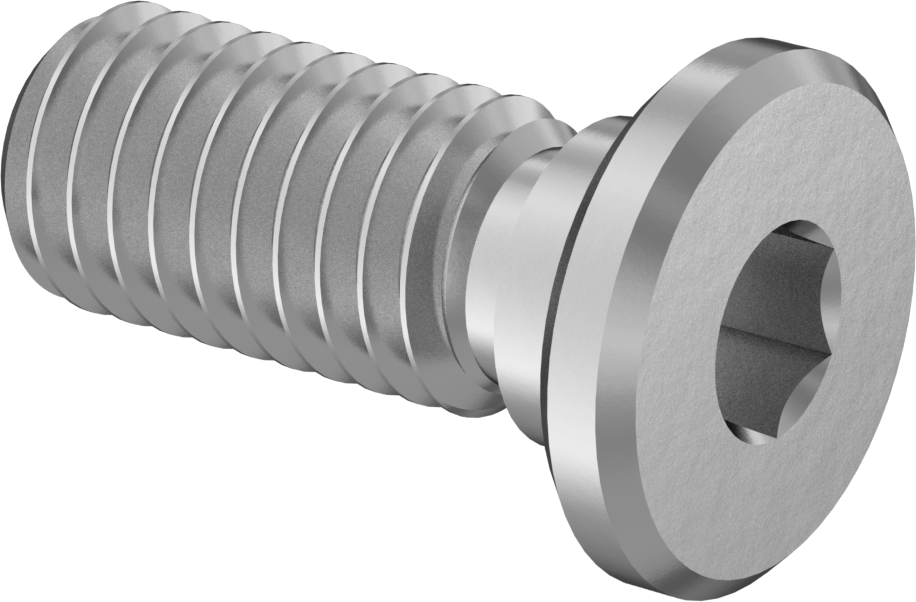 316 Paslanmaz Çelik Ultra Düşük Profilli Soket Başlı Vida, M5 x 0,80 mm Diş, 10 mm Uzunluk