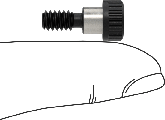 Alaşımlı Çelik Omuzlu Vida, 1/4" Omuz Çapı, 3/16" Omuz Uzunluğu, 10-24 Diş