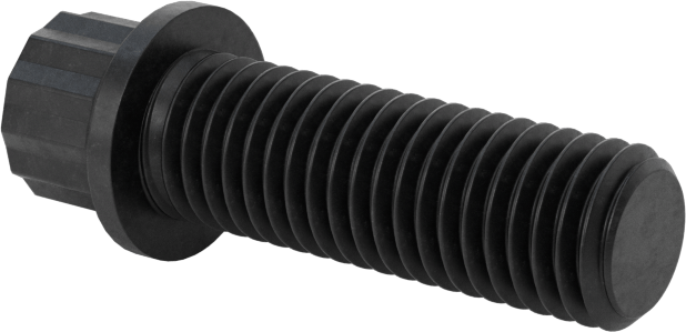 Çelik 12 Uçlu Vida, 1/4"-28 Diş Boyutu, 3/4" Uzunluk