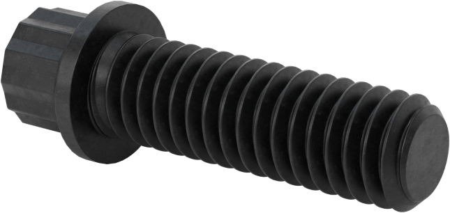 Çelik 12 Uçlu Vida, 5/16"-18 Diş Boyutu, 1" Uzunluk