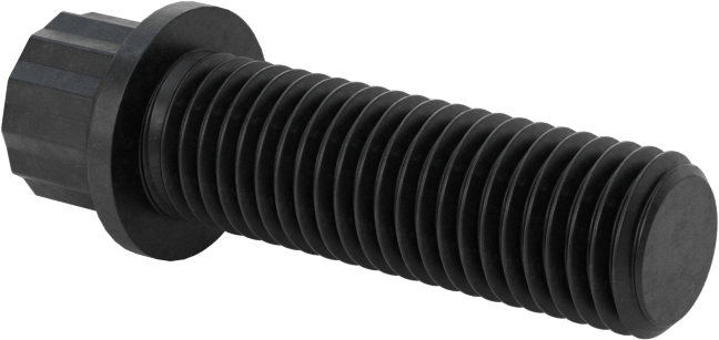 Çelik 12 Uçlu Vida, 5/16"-24 Diş Boyutu, 1" Uzunluk