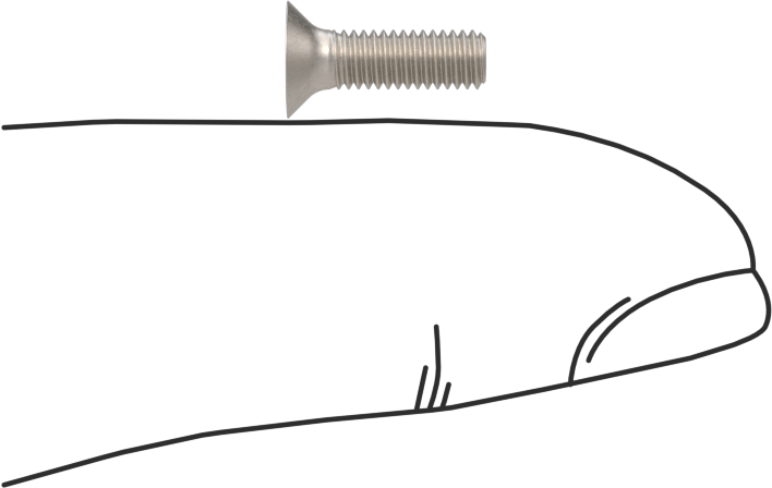 Titanyum Phillips Düz Başlı Vidalar, M3 x 0,5 mm Diş Boyutu, 10 mm Uzunluk