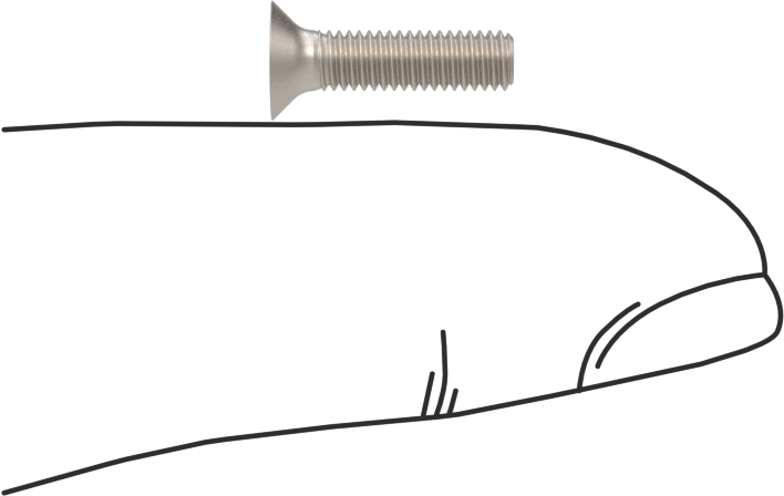 Titanyum Phillips Düz Başlı Vidalar, M3 x 0,5 mm Diş Boyutu, 12 mm Uzunluk