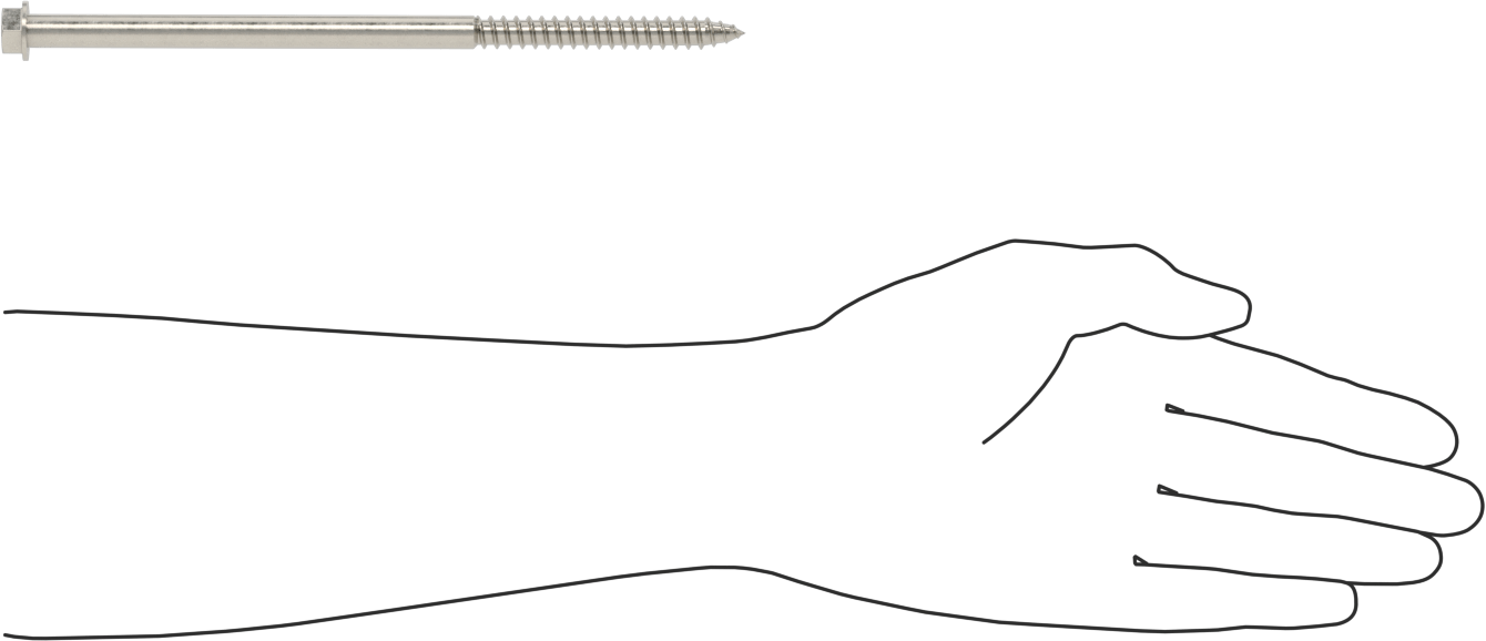 316 Paslanmaz Çelik Flanşlı Altıgen Başlı Ahşap Vida, 3/8" Vida Boyutu, 8" Uzunluk