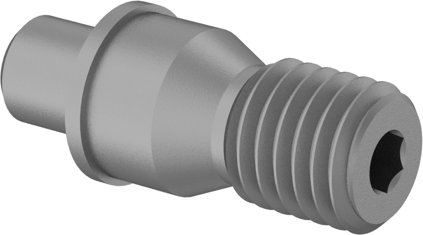Karbür Uç Tutucular için Ayar Vidası, Kilit Pimi Stili, 1/4"-28 Diş, 0,733" Uzunluk