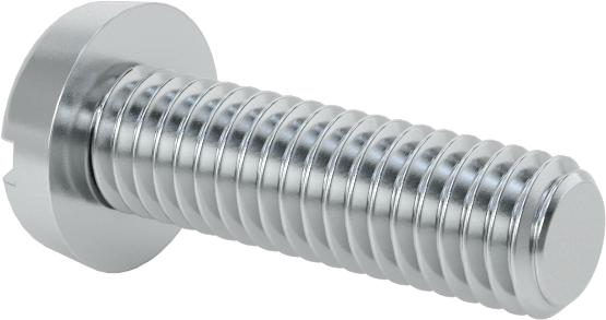Çinko Kaplı Çelik Dar Peynir Başlı Oluklu Vida, M3 x 0,5 mm Dişli, 10 mm Uzunluk, 5,5 mm Baş Çapı