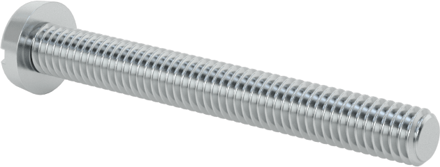 Çinko Kaplı Çelik Dar Peynir Başlı Oluklu Vida, M3 x 0,5 mm Dişli, 25 mm Uzunluk, 5,5 mm Baş Çapı