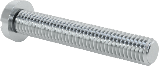 Çinko Kaplı Çelik Dar Peynir Başlı Oluklu Vida, M5 x 0,8 mm Diş, 30 mm Uzunluk, 8,5 mm Baş Çapı