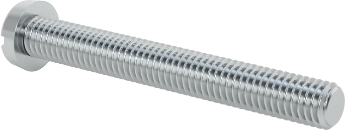 Çinko Kaplı Çelik Dar Peynir Başlı Oluklu Vida, M5 x 0,8 mm Diş, 40 mm Uzunluk, 8,5 mm Baş Çapı