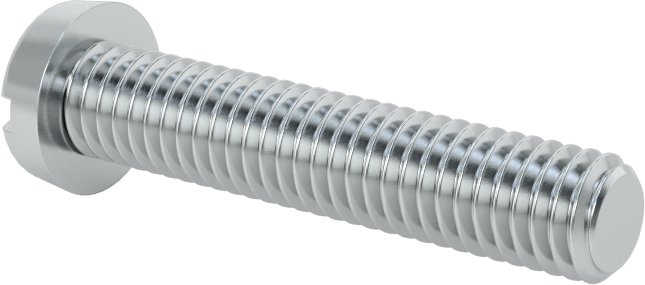 Çinko Kaplı Çelik Dar Peynir Başlı Oluklu Vida, M6 x 1 mm Diş, 30 mm Uzunluk, 10 mm Başlık Çapı