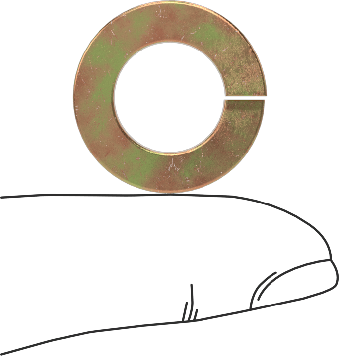 Mil. Spec. Yaylı Pul, Kadmiyum Kaplamalı Çelik, 1/2" Vida Boyutu için, MS35338