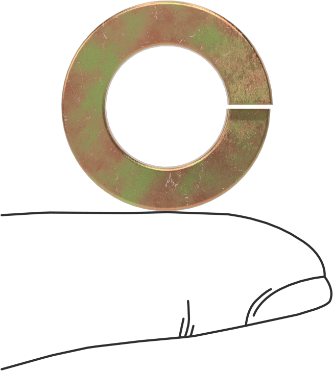 Mil. Spec. Yaylı Pul, Kadmiyum Kaplamalı Çelik, 9/16" Vida Boyutu için, MS35338