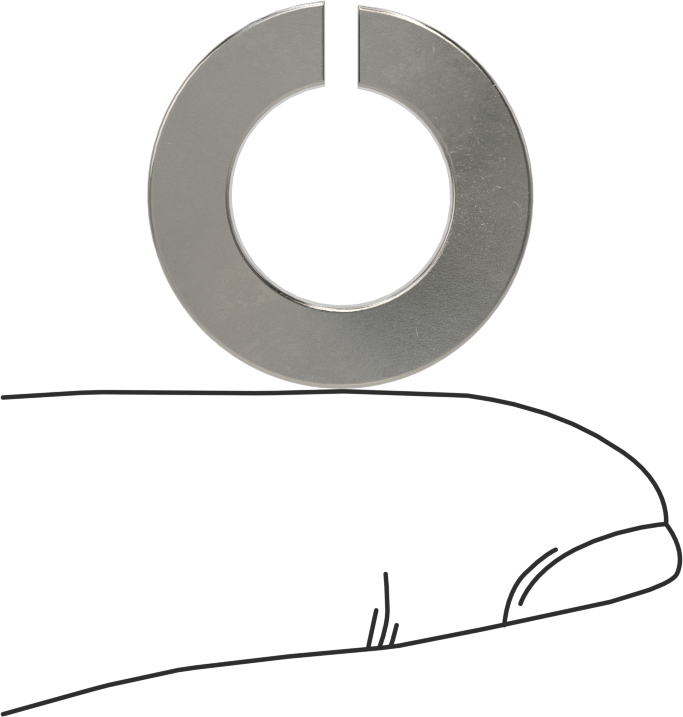 Mil. Spec. Yaylı Pul, Pasifleştirilmiş 316 Paslanmaz Çelik, 1/2" Vida Boyutu için, MS35338