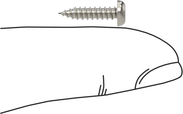 Sac Metal için Yivli Yuvarlak Başlı Vidalar, 18-8 Paslanmaz Çelik, 4 Numara Boyut, 1/2" Uzunluk