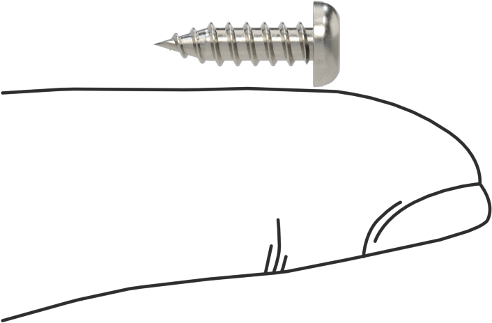 Sac Metal için Yivli Yuvarlak Başlı Vidalar, 18-8 Paslanmaz Çelik, Numara 6 Boyut, 1/2" Uzunluk