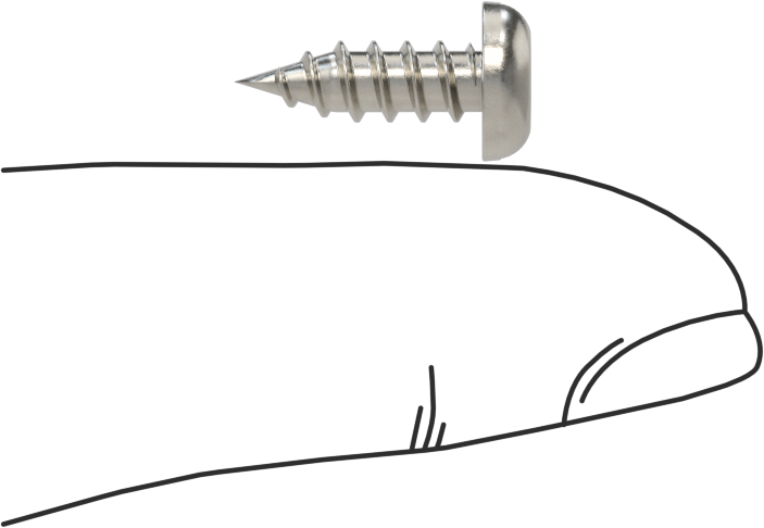 Sac Metal için Yivli Yuvarlak Başlı Vidalar, 18-8 Paslanmaz Çelik, Numara 8 Boyut, 1/2" Uzunluk
