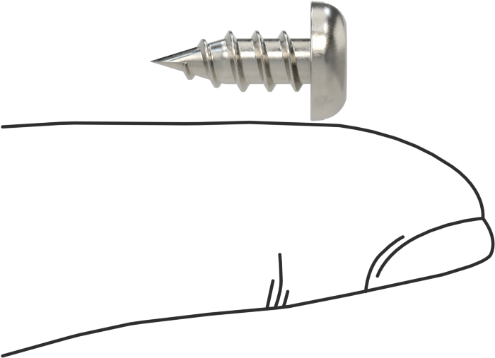 Sac Metal için Yivli Yuvarlak Başlı Vidalar, 18-8 Paslanmaz Çelik, 10 Numaralı Boyut, 1/2" Uzunluk