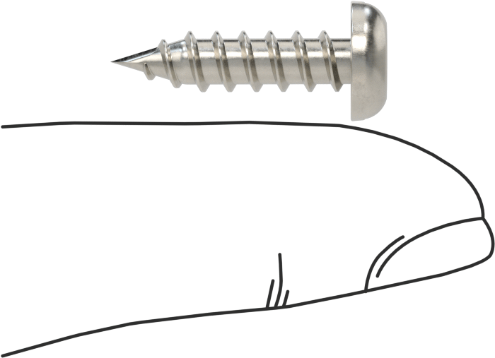 Sac Metal için Yivli Yuvarlak Başlı Vidalar, 18-8 Paslanmaz Çelik, 10 Numaralı Boyut, 3/4" Uzunluk