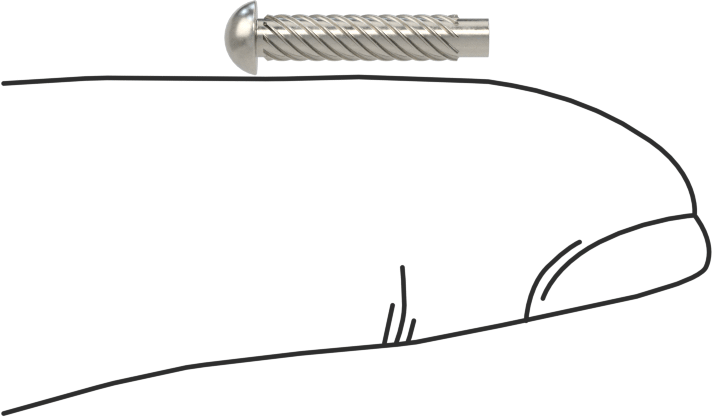 Metal için 18-8 Paslanmaz Çelik Vidalı Çiviler, Plastik ve Kontrplak, 2 Numaralı, 1/2" Uzunluk