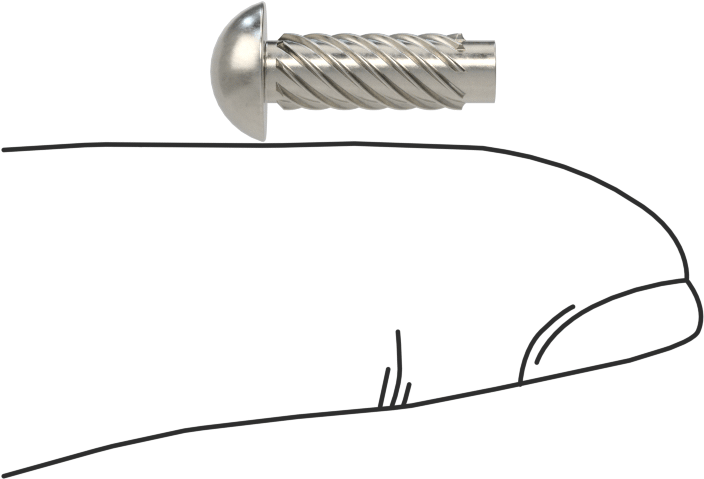 Metal için 18-8 Paslanmaz Çelik Vidalı Çiviler, Plastik ve Kontrplak, Boyut 8, 1/2" Uzunluk