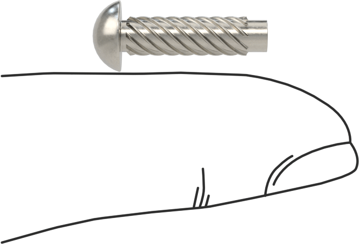 Metal için 18-8 Paslanmaz Çelik Vidalı Çiviler, Plastik ve Kontrplak, Boyut 8, 5/8" Uzunluk