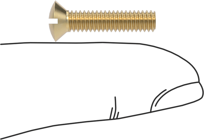 Pirinç Oluklu Oval Başlı Vidalar, 8-32 Diş Boyutu, 3/4" Uzunluk
