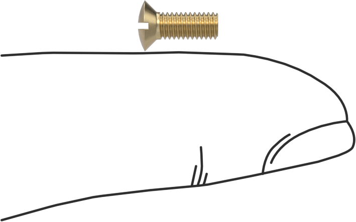 Pirinç Oluklu Oval Başlı Vidalar, M3 x 0,5 mm Diş Boyutu, 8 mm Uzunluk