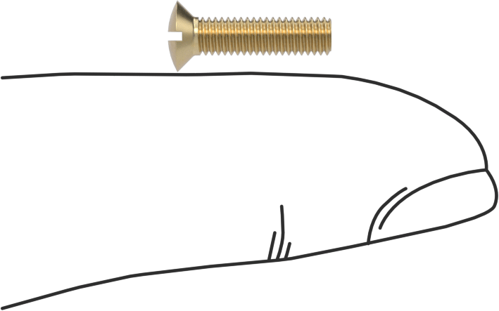 Pirinç Oluklu Oval Başlı Vidalar, M3 x 0,5 mm Diş Boyutu, 12 mm Uzunluk