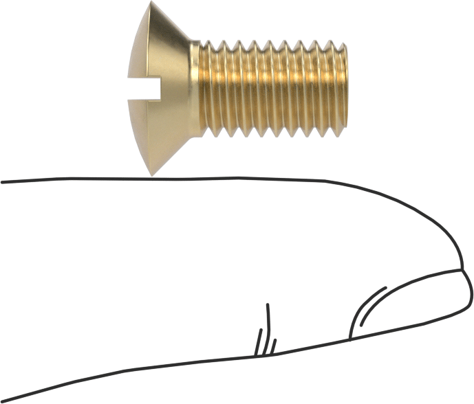 Pirinç Oluklu Oval Başlı Vidalar, M8 x 1,25 mm Diş Boyutu, 16 mm Uzunluk