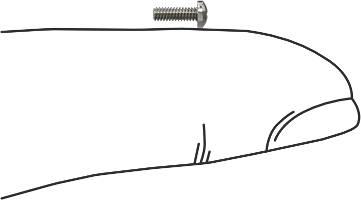 316 Paslanmaz Çelik Silindir Başlı Phillips Vida, 0-80 Diş, 3/16" Uzunluk