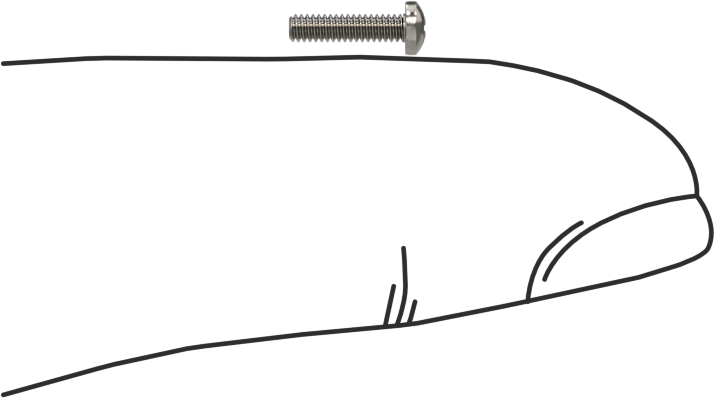 316 Paslanmaz Çelik Silindir Başlı Phillips Vida, 0-80 Diş, 1/4" Uzunluk